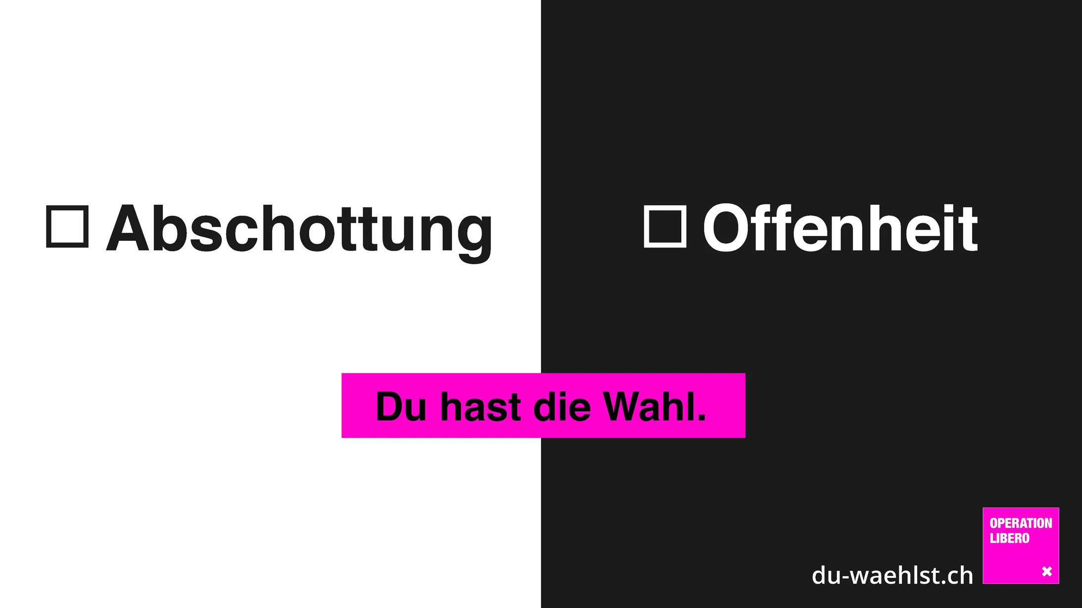 Wahlkampagne