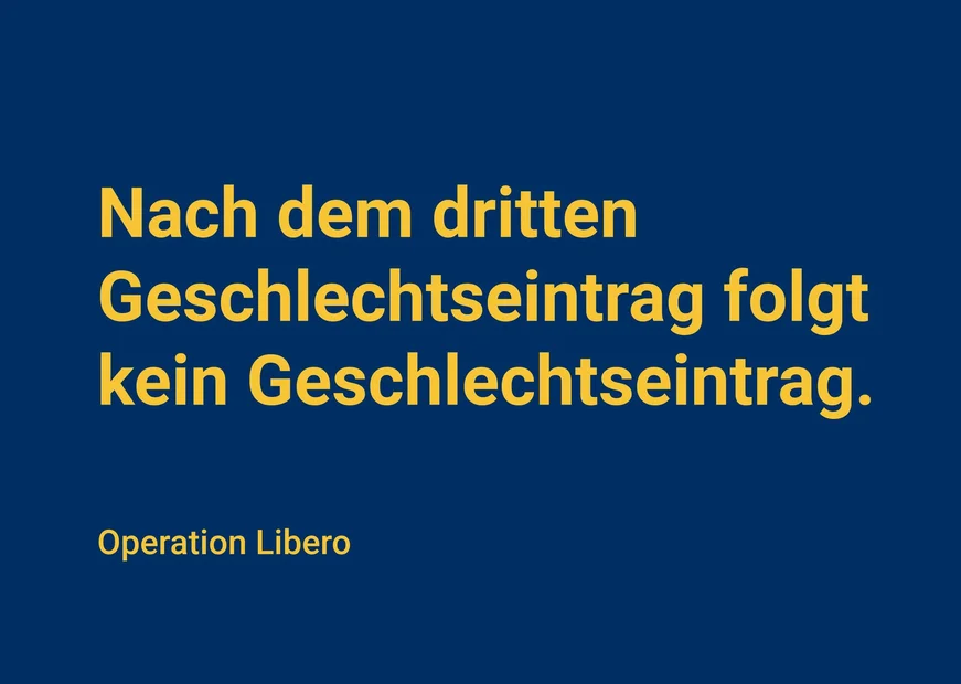 Thesen Operation Libero